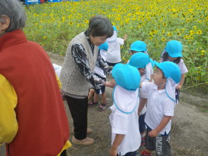 H26.9 ひまわり 002