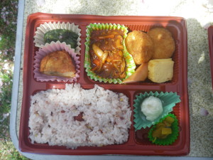 IMGP0096 - コピー